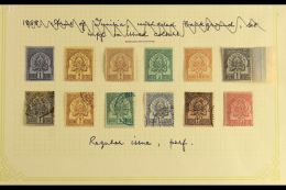 TUNISIA 1888-1902 ARMS TYPES. An Attractive Mint & Used Collection On Leaves, Inc 1888-93 Thin Numerals Used... - Otros & Sin Clasificación