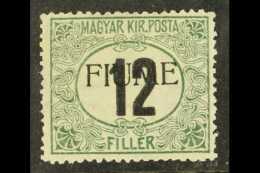 POSTAGE DUES 1918 12f Green And Black , Sassone 2, Fresh Mint. Scarce Stamp With Raybaudi 2007 Photo Certificate.... - Fiume