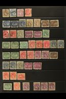 1893-1919 ATTRACTIVE USED RANGE Of "Queen Makea Takau" And "Torea" (White Tern) Issues. With 1893-1900 Perf... - Cook