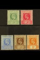 1905 Complete Set, SG 8/12, Fine Mint. (5) For More Images, Please Visit... - Kaaiman Eilanden