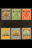 1906-10 SPECIMENS Dry Dock Set Less 2½d Blue Overprinted "Specimen", SG 34s/42s (less 41s), Very Fine Mint.... - Bermuda