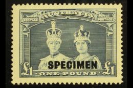 1938 £1 Bluish Slate "Robes" Overprinted "SPECIMEN", SG 178s, Never Hinged Mint. Very Scarce And Desirable.... - Sonstige & Ohne Zuordnung