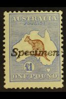 1913-14 £1 Brown & Ultramarine, 'Roo, First Watermark, "Specimen" Handstamp, SG 15s, Never Hinged Mint.... - Andere & Zonder Classificatie