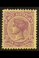 WESTERN AUSTRALIA 1902-11 10s Deep Mauve Perf 12x12½, SG 127, Fine Mint, Usual Streaky Gum For More Images,... - Autres & Non Classés