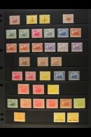 WESTERN AUSTRALIA 1882-1912 MINT SELECTION Presented On A Stock Page. Includes 1884 ½d On 1d X2 Different,... - Autres & Non Classés