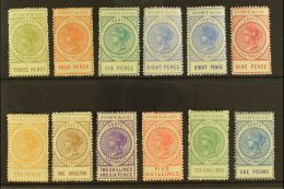 SOUTH AUSTRALIA 1902-04 'tall' Perf 11½-12½ Complete Set Inc Both 8d, SG 268/79, Fine Mint, Lovely... - Other & Unclassified
