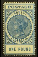 SOUTH AUSTRALIA 1904-11 £1 Blue Perf 12, SG 292, Fine Mint, Lovely Fresh Colour. For More Images, Please... - Sonstige & Ohne Zuordnung