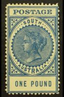 SOUTH AUSTRALIA 1904-11 £1 Blue Perf 12, SG 292, Fine Mint, Lovely Fresh Colour. For More Images, Please... - Andere & Zonder Classificatie