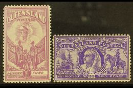 QUEENSLAND 1900 Anglo-Boer War Patriotic Fund Complete Set, SG 263/64, Fine Mint, 2d With Tiny Thin. (2 Stamps)... - Andere & Zonder Classificatie