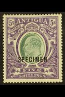 1903-07 5s Grey-green & Violet With "SPECIMEN" Overprint, SG 40s, Fine Mint, Fresh. For More Images, Please... - Andere & Zonder Classificatie