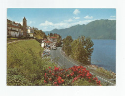 Suisse Tessin Ticino - Nazzaro Gambarogno Lago Maggiore - TI Tessin