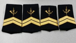 Poste Aux Armées 2 Paires Neuves Fourreaux D'épaule Personnel Masculin Et Personnel Féminin Grade Sergent. - Uniforms