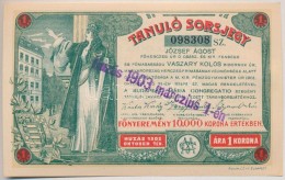 Budapest 1903. 'Tanuló Sorsjegy' 1K értékben, Felülbélyegzéssel T:I,I- - Non Classés