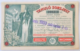 Budapest 1903. 'Tanuló Sorsjegy' 1K értékben, Felülbélyegzéssel T:I,I- - Unclassified