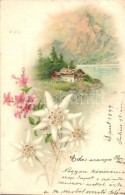 T2 1899 Flowers With Hut And Mountains In The Background, Litho - Unclassified
