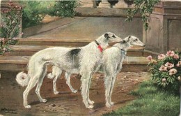 * T2 Sighthound Dogs, T.S.N. Serie N537. Nr. 5. S: Alfred Schönian - Zonder Classificatie