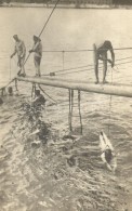 * T2 Pola, Osztrák-magyar Matrózok Uszás Oktatása / K.u.K. Kriegsmarine, Swimming... - Non Classés