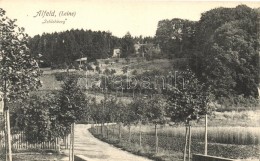 ** T1 Alfeld, Schlehberg, Photogr. Und Verlag Gustav Böger - Non Classés