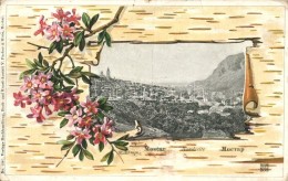 T3/T4 Mostar, Floral Litho V. Pacher & Kisic Kunstanstalt No. 1287., 'Kommando Des K.u.K. Festungsspitals In... - Ohne Zuordnung