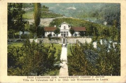 T2 Lastva, Villa Des Verwalters Der 1.är. Obst- Und Weinbaustation / Villa Of The Administrator Of The First... - Zonder Classificatie