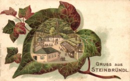 T2/T3 Steinbründl, J. Renner's Gasthaus / Guest House, Leaf, Franz Schemm Kunstanstalt Litho (fl) - Unclassified