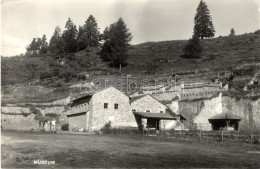 * T2/T3 Magdalensberg, Stalenska Gora; Ausgrabung Des Landes Kärnten / Excavation Site In Carinthia - Unclassified