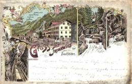 T3 Frohnwies Bei Saalfelden, Gasthof Zur Port / Guest House, Floral, Litho (EB) - Non Classés