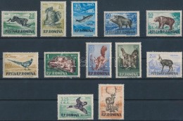 ** 1956 Állatok Sor Mi 1565-1576 - Other & Unclassified