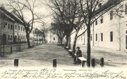 T2 Újvidék, Novi Sad; Pétervárad, Petravaradin; Sétatér / Promenadgasse /... - Non Classés