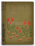 Gárdonyi Géza: A Bor. Falusi Történet 3 Felvonásban. Bp., 1905, Singer és... - Unclassified