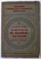 Klobusitzky Dénes: Hormónok és Hormónhatások. Bp., 1930, K. M.... - Non Classés