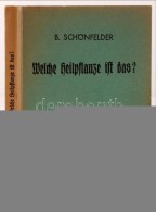 Schönfelder, Bruno: Welche Heilpflanze Ist Das? Deutsche Heil- Und Giftpflanzen Ihr Aussehen Und Ihr Wirken.... - Non Classés