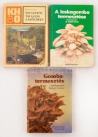 Vegyes Kertészet-mezÅ‘gazdasági Könyv Tétel, összesen 3 Kötet. - Non Classés
