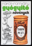 Rápóti JenÅ‘-Romváry Vilmos: Gyógyító Növények. Bp., 1991,... - Non Classés