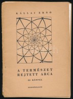 Kállai ErnÅ‘: A Természet Rejtett Arca. Bp. 1947, Misztófalusi, Kulcsár Andor-ny., 36... - Non Classés