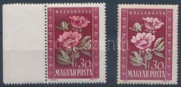 ** 1950 Virág 2x30f ErÅ‘s Színeltérés - Andere & Zonder Classificatie