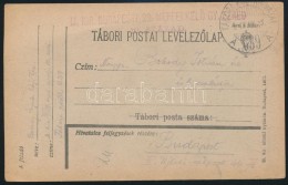 1918 Tábori Posta LevelezÅ‘lap 'M.KIR. BUDAPESTI 29. NÉPFELKELÅ GY. EZRED 10. SZÁZAD' + 'TP... - Autres & Non Classés