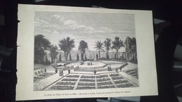 Affiche (gravure)  -  Le Jardin Des Plantes De Paris En 1626 - Manifesti