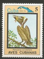 Cuba - MNH - Brown Pelican (Pelecanus Occidentalis ) - Pélicans