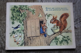 Squirrel And Big Tit - OLD Soviet PC 1957 -  Mushroom - Champignon - Paddestoelen
