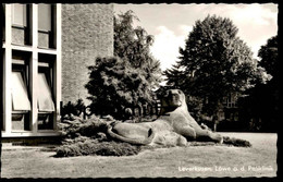 ÄLTERE POSTKARTE LEVERKUSEN BAYER-LÖWE AN DER POLIKLINIK Lion Krankenhaus Hospital Ansichtskarte AK Postcard Cpa - Leverkusen