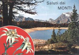 Postcard Cartolina - Saluti Dai Monti - TORINO ITALIA ITALY Circulated 1973 - Parques & Jardines