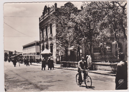 AFRIQUE,AFRIKA,AFRICA,MAGHREB,Algérie,Algéria,BATNA,CYCLISTE,theatre - Batna