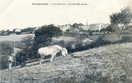 Tarn - Puylaurens - Vue Générale - Altitude 350 Mètres - Labour Avec Attelage De Vaches - Puylaurens