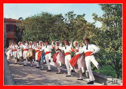 MARSEILLE CHATEAU GOMBERT 1978 LA FARANDOLE PAR LE ROUDELET FELIBREN FOLKLORE PROVENÇAL COSTUME DANSE GROUPE FOLKLORIQUE - Saint Barnabé, Saint Julien, Montolivet