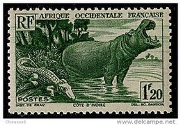 (cl.11 - P.10) A.O.F. ** N° 31 (ref. Michel Au Dos) - L'hippopotame - - Ongebruikt
