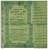 Obligation De Cinq Cents Francs COMPAGNIE Du Chemin De Fer VICTORIA à MINAS 31 Juillet 1902 - Navigation