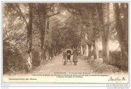 BOUILLON ..--  Allée Des Soupirs . 1903 Vers CHARLEVILLE ( Melle M. MATHIEU , Lycée Sévigné ) . Voir Verso . - Bouillon