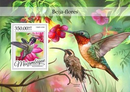 Mozambico 2016, Animals, Colibrì, BF - Colibris