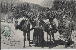 CPA Types Des Pyrénées Circulé Métier Ane Donkey - Midi-Pyrénées